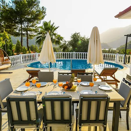 Nelle Art Villa *