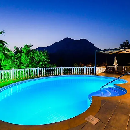 Villa Nelle Art Dalaman