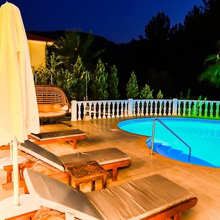 Villa Nelle Art